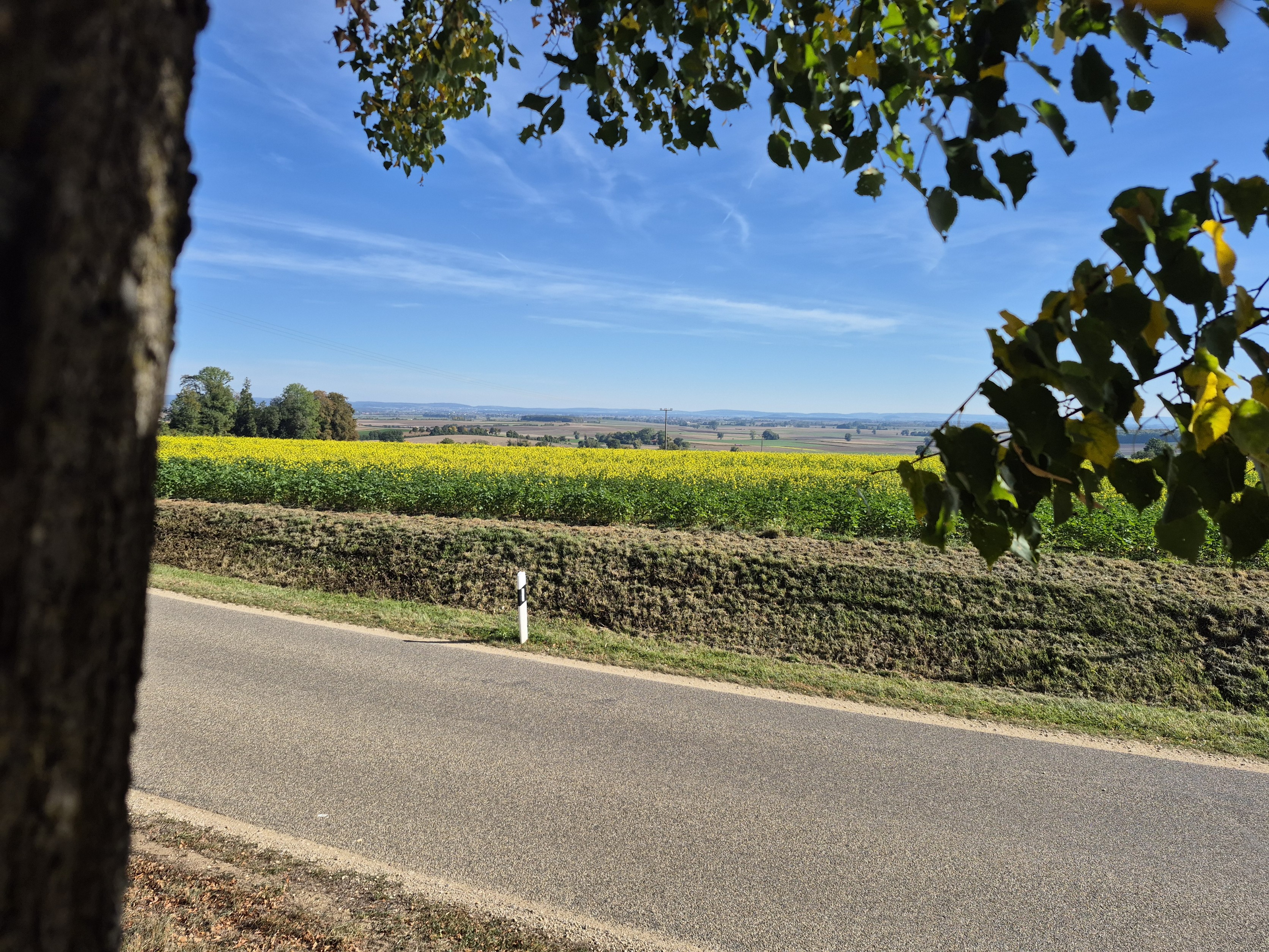 06-Blick-ins-Ries